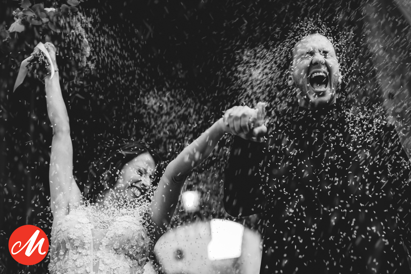 56638-Sammy-In Black